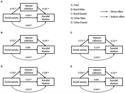 Social anxiety and suicidal ideation among middle-school students in China: a mediation model of internet addiction